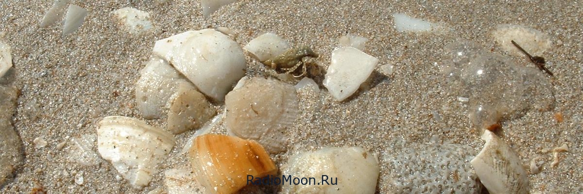 Пляжный отдых